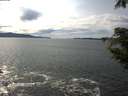 ./images/koeye/fitz-hugh/20200904/fitz-hugh20200904_144501.jpg