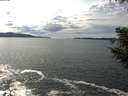 ./images/koeye/fitz-hugh/20200904/fitz-hugh20200904_150501.jpg