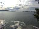 ./images/koeye/fitz-hugh/20200904/fitz-hugh20200904_151001.jpg