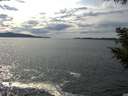 ./images/koeye/fitz-hugh/20200904/fitz-hugh20200904_151501.jpg