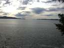 ./images/koeye/fitz-hugh/20200904/fitz-hugh20200904_153501.jpg