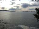 ./images/koeye/fitz-hugh/20200904/fitz-hugh20200904_154002.jpg