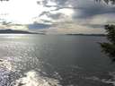./images/koeye/fitz-hugh/20200904/fitz-hugh20200904_155002.jpg