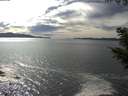 ./images/koeye/fitz-hugh/20200904/fitz-hugh20200904_155502.jpg