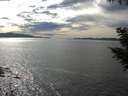 ./images/koeye/fitz-hugh/20200904/fitz-hugh20200904_160502.jpg