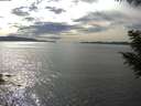 ./images/koeye/fitz-hugh/20200904/fitz-hugh20200904_161002.jpg