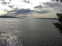 ./images/koeye/fitz-hugh/20200904/fitz-hugh20200904_161502.jpg