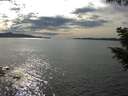./images/koeye/fitz-hugh/20200904/fitz-hugh20200904_162002.jpg