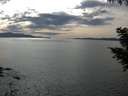 ./images/koeye/fitz-hugh/20200904/fitz-hugh20200904_162502.jpg