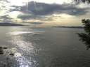 ./images/koeye/fitz-hugh/20200904/fitz-hugh20200904_163502.jpg