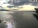 ./images/koeye/fitz-hugh/20200904/fitz-hugh20200904_164002.jpg
