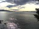 ./images/koeye/fitz-hugh/20200904/fitz-hugh20200904_164501.jpg