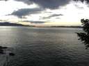 ./images/koeye/fitz-hugh/20200904/fitz-hugh20200904_165001.jpg