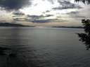 ./images/koeye/fitz-hugh/20200904/fitz-hugh20200904_171001.jpg