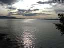 ./images/koeye/fitz-hugh/20200904/fitz-hugh20200904_171501.jpg