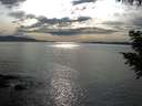 ./images/koeye/fitz-hugh/20200904/fitz-hugh20200904_172001.jpg