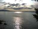./images/koeye/fitz-hugh/20200904/fitz-hugh20200904_172501.jpg