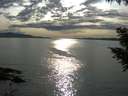 ./images/koeye/fitz-hugh/20200904/fitz-hugh20200904_173501.jpg