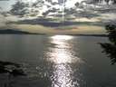 ./images/koeye/fitz-hugh/20200904/fitz-hugh20200904_174001.jpg