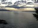 ./images/koeye/fitz-hugh/20200904/fitz-hugh20200904_174501.jpg