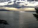 ./images/koeye/fitz-hugh/20200904/fitz-hugh20200904_175001.jpg