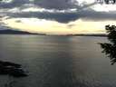 ./images/koeye/fitz-hugh/20200904/fitz-hugh20200904_180501.jpg