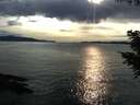 ./images/koeye/fitz-hugh/20200904/fitz-hugh20200904_181501.jpg