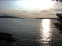 ./images/koeye/fitz-hugh/20200904/fitz-hugh20200904_183502.jpg