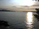 ./images/koeye/fitz-hugh/20200904/fitz-hugh20200904_184002.jpg