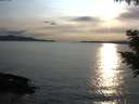 ./images/koeye/fitz-hugh/20200904/fitz-hugh20200904_184501.jpg