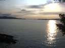 ./images/koeye/fitz-hugh/20200904/fitz-hugh20200904_185001.jpg