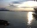 ./images/koeye/fitz-hugh/20200904/fitz-hugh20200904_185502.jpg