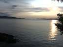 ./images/koeye/fitz-hugh/20200904/fitz-hugh20200904_190502.jpg
