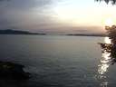 ./images/koeye/fitz-hugh/20200904/fitz-hugh20200904_192502.jpg