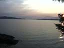 ./images/koeye/fitz-hugh/20200904/fitz-hugh20200904_194002.jpg