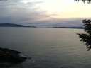 ./images/koeye/fitz-hugh/20200904/fitz-hugh20200904_195001.jpg