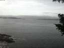 ./images/koeye/fitz-hugh/20200905/fitz-hugh20200905_061001.jpg