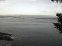 ./images/koeye/fitz-hugh/20200905/fitz-hugh20200905_061501.jpg