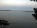 ./images/koeye/fitz-hugh/20200905/fitz-hugh20200905_064002.jpg