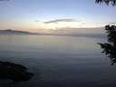 ./images/koeye/fitz-hugh/20200905/fitz-hugh20200905_071502.jpg