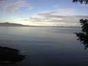 ./images/koeye/fitz-hugh/20200905/fitz-hugh20200905_074001.jpg