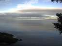 ./images/koeye/fitz-hugh/20200905/fitz-hugh20200905_075001.jpg