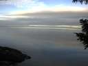 ./images/koeye/fitz-hugh/20200905/fitz-hugh20200905_075501.jpg