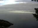 ./images/koeye/fitz-hugh/20200905/fitz-hugh20200905_080001.jpg