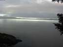 ./images/koeye/fitz-hugh/20200905/fitz-hugh20200905_080501.jpg