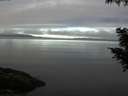 ./images/koeye/fitz-hugh/20200905/fitz-hugh20200905_081001.jpg