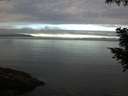 ./images/koeye/fitz-hugh/20200905/fitz-hugh20200905_082001.jpg