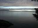 ./images/koeye/fitz-hugh/20200905/fitz-hugh20200905_082501.jpg