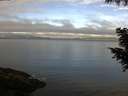 ./images/koeye/fitz-hugh/20200905/fitz-hugh20200905_084501.jpg
