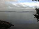 ./images/koeye/fitz-hugh/20200905/fitz-hugh20200905_085001.jpg